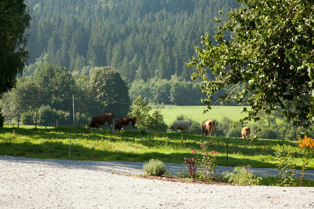 Landhotel Bayerwald Grafling Dış mekan fotoğraf